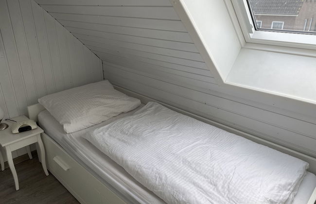 Ostseemuschel - Foto 3