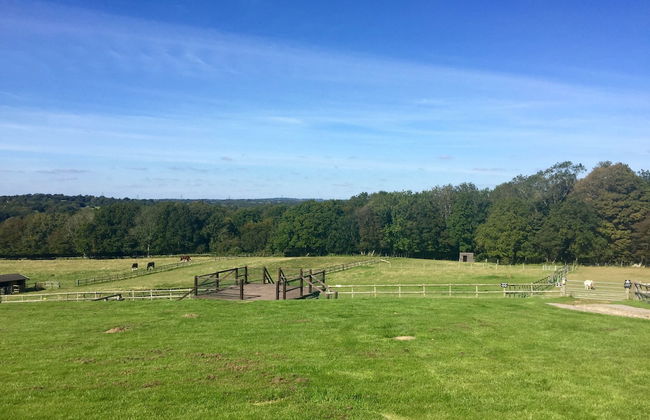 Flint Cottage - Sleeps 6 - Private Woodland - Foto 27