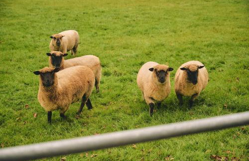 Mill House - Foto 58