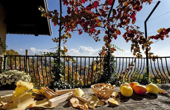 Vineyard cottage Verček - Photo 12