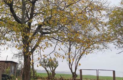 Ferienhaus Lichtenberg - Foto 16