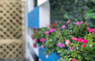 Dépendance - Foto 1