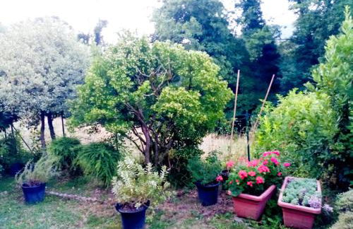 casa minnie - Foto 38