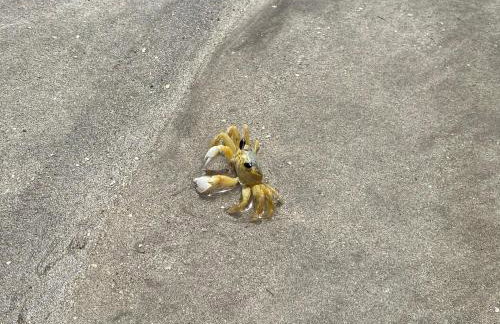 Casa OKA X (09) - Foto 29