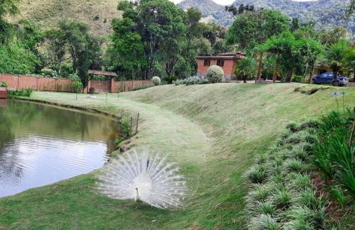 Fazenda Montanhes - Foto 61