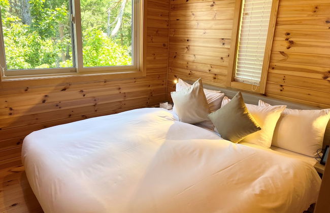 THE SENSE FUJI - Foto 13