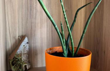 EL MIRADOR DEL CENTRO - Foto 49