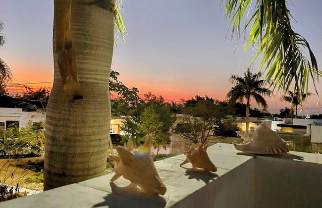 Mariposa Apartments - Foto 22