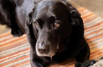 2 Bed in High Fremington oc-ds375 - Foto 13