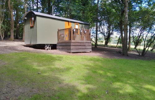 Little Greenwood Shepherd Hut - Sleeps 2 - Foto 31