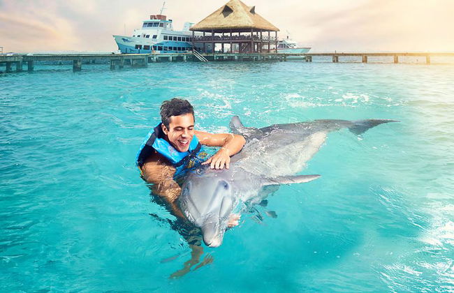 Delfin-Begegnung am Maroma Beach - Foto 1