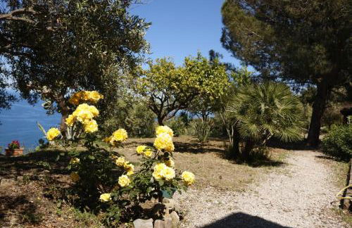 Villa Canale - Foto 9