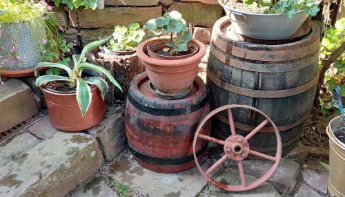 Beim Schlafwandler - Foto 3, Garden