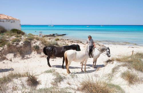 Mallorca Dream - Foto 9