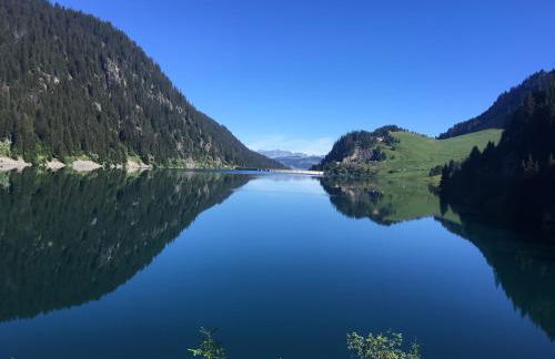 Appartement Le Pontet Areches Beaufort - Foto 18