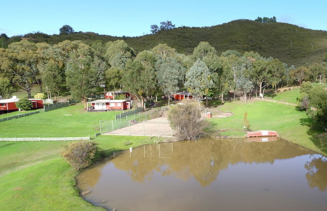 The Black Sparrow - Photo 61