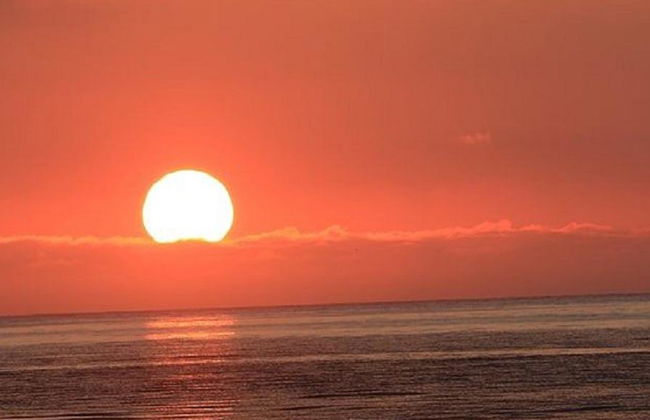 2-Tages-Paket: Sommer auf den Lofoten - Kleingruppentour - Foto 2