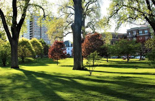 Modern 2BR near DT, 8min walk to Park&Conservatory - Foto 29