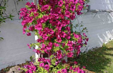 Eirini's House Corfu - Foto 28