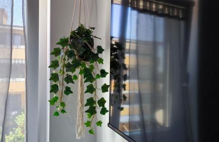 Sunrise Home - Sabaudia - Foto 22