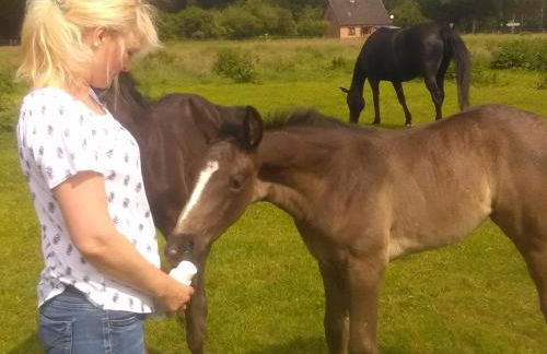 Ferienwohnung Sültemeier 1 - Foto 15