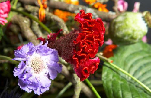 Villa Florentine - Foto 64