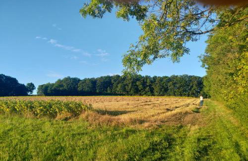 HAUS RINGGAU - Urlaub, Gemeinschaft und Erlebnis im Herzen von Deutschland - Foto 53