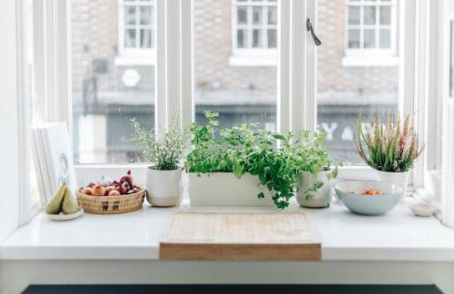 Central Hidden Gem - Foto 6