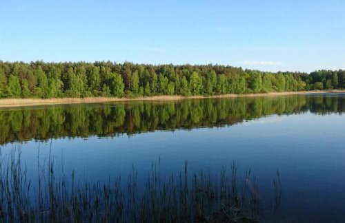 Holiday Home Dario by Interhome - Foto 33