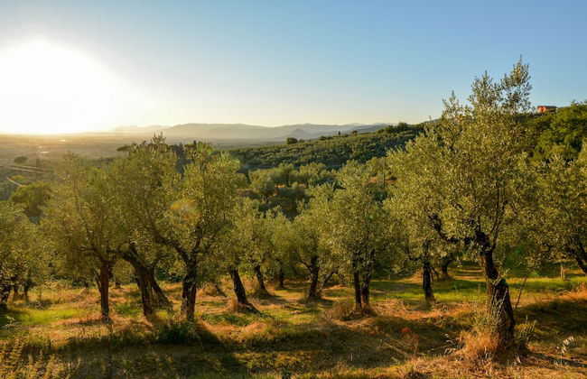 Agriturismo Podere Rondinaio - Foto 49