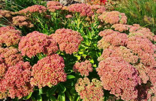 Ferienwohnung Hornig Zwei Terrassen, Parkplatz, separater Eingang - Foto 33