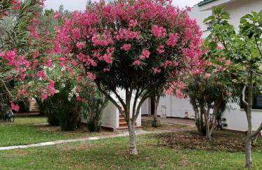 Tra Ulivi E Mare - Foto 15