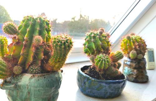 Business-Apartment Ahrensburg - Foto 26