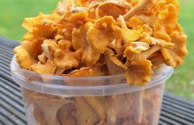 Dom Wakacyjny Kuszewo - Foto 44