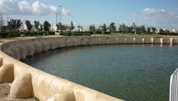 Excursión de medio día a la ciudad sagrada de Kairouan desde Hammamet - Foto 4