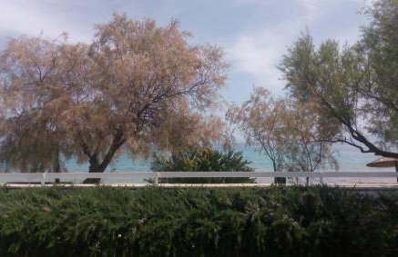 V.K.Seaside Villa - Foto 71