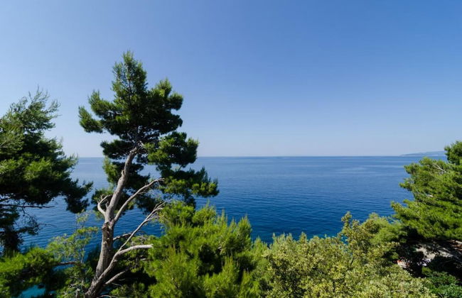 Apartments Plavac Mali - Photo 71