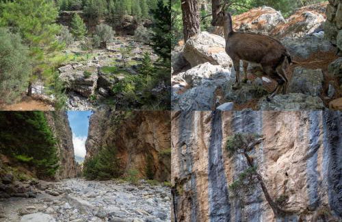 father's house in kissamos - Foto 35