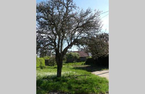Maison près de la Pointe du Raz - Foto 43