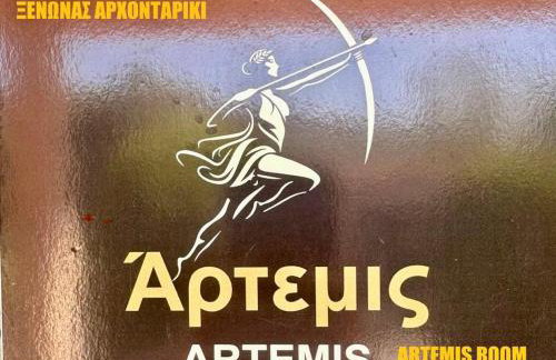 Xenonas ARXONTARİKİ - Photo 6