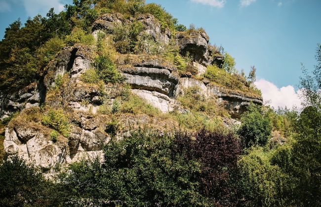 Modish Apartment in Plankenstein near Forest - Photo 39