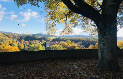 Old Town Apartment - Foto 28