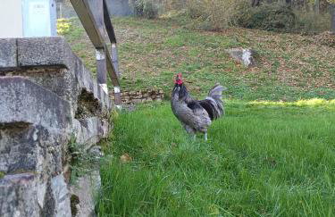 2 double rooms apartment- La Casa di Alice - Foto 23