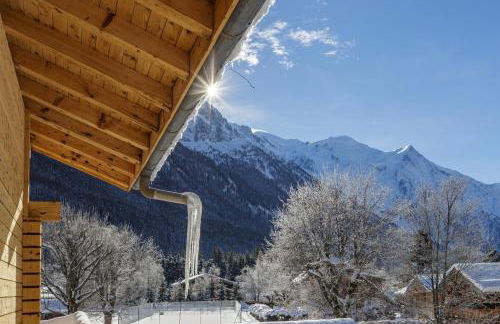 Cyclamens - Cosy Chalet 500m Flegere Cheminee Vue Garage - Foto 27