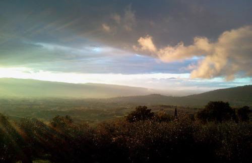 Azienda Agrituristica Il Moraiolo - Photo 29