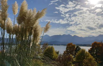 Landhaus Amberg Hopfen am See // Hopfensee // Füssen - Foto 43