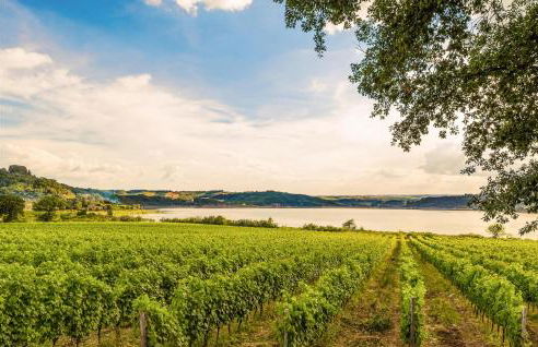 Stunning Apartment In Ficulle With Wifi - Foto 38