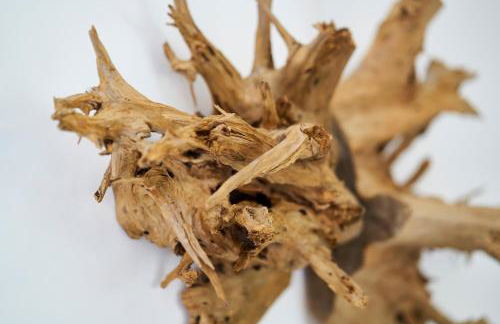 Sparrow Sintra Nest - Foto 20