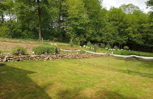 Gîte l'Olivianne - Foto 35