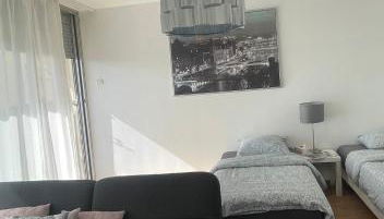 Bel Appartement near Bâle Mulhouse Airport - Foto 4